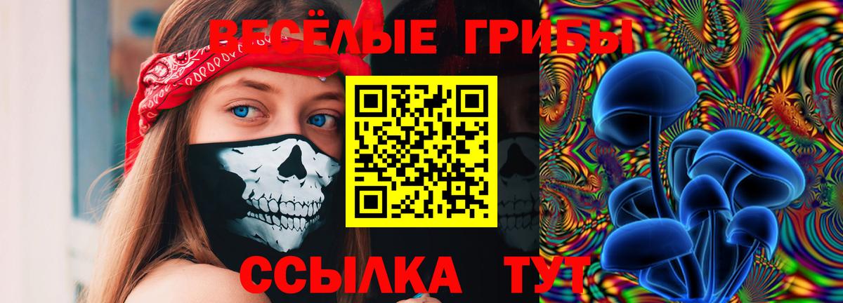 наркошоп  Вход с VPN  Дербент  Галлюциногенные грибы Cubensis 